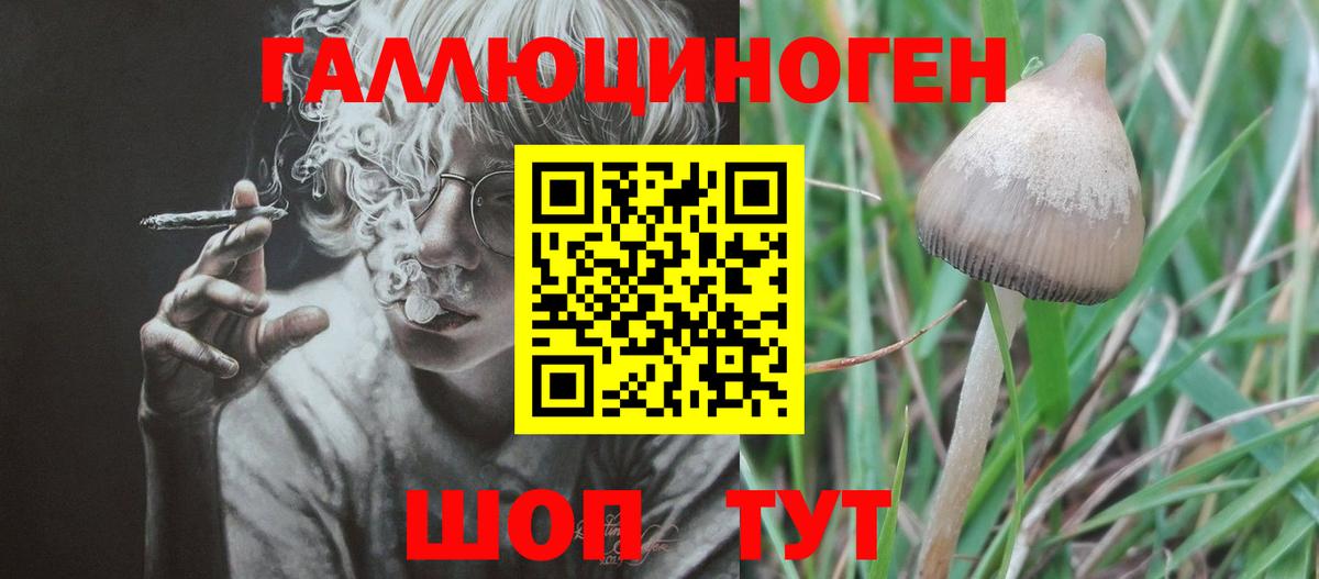 Галлюциногенные грибы Psilocybine cubensis  Вход с VPN  Псилоцибиновые грибы MAGIC MUSHROOMS  Якутск 
