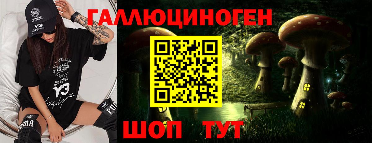 Галлюциногенные грибы Psilocybe Якутск
